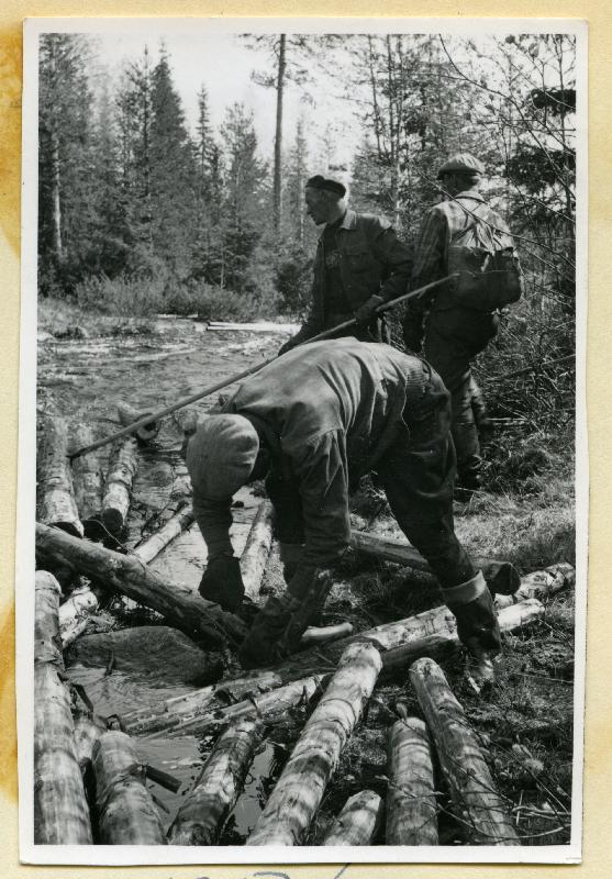 ???resource.thumbnail???: Tukkilaisia työssään
	
		Purouitolla Pohjois-Karjalassa. E-G:n henkilökunnan
lehden kuvateksti: Joen laittoa ja otvitusta...
