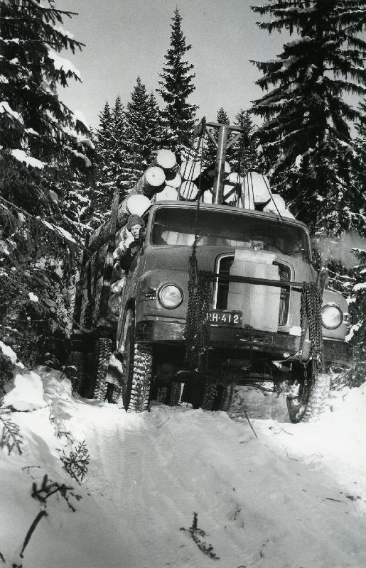 Esikatselukuva: Puun kuljetusta kuorma-autolla
	
		Metsäosasto, Autoilija Veikko Ylätupa ja apumies Aulis Järvinen viemässä tukkikuormaa autopalstat...