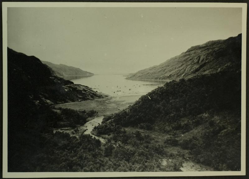 Thumbnail:&nbsp;Petsamon vuono