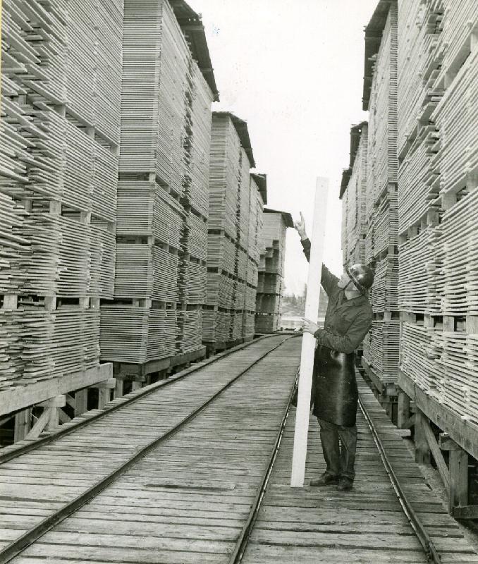 Esikatselukuva: Lautatarha
	
		"Suojapäähine suojaa". Henkilökunnan lehden 3/1962 kuvateksti: "Suojapäähine oli v...