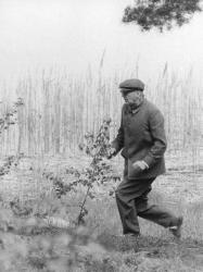Esikatselukuva: Urho Kekkonen lenkkeilee Seurasaaressa
	
		Urho Kekkonen lenkkeilee Seurasaaren maastossa.