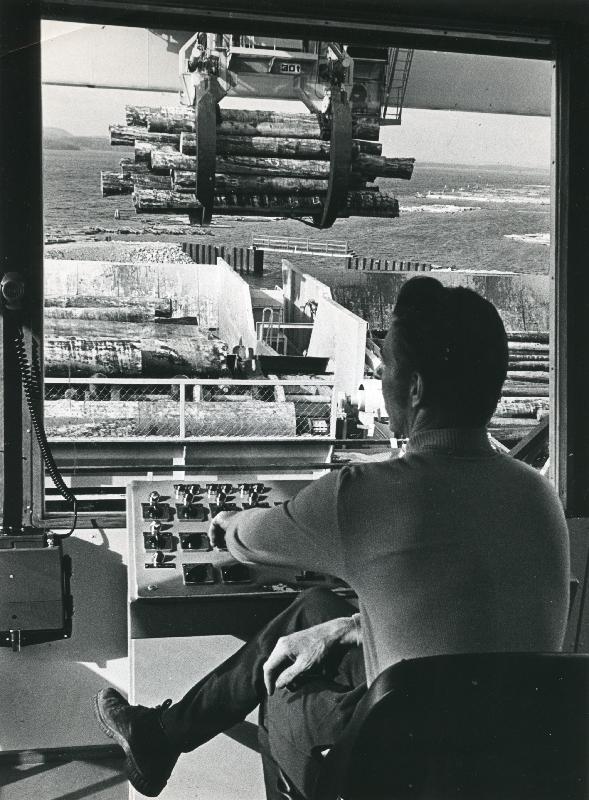 Esikatselukuva: Uimaharjun saha, näkymä tukkinosturien ohjaamosta
	
		Tukit nousevat sahalle.
Teollisuusviikko -lehti 31/1983