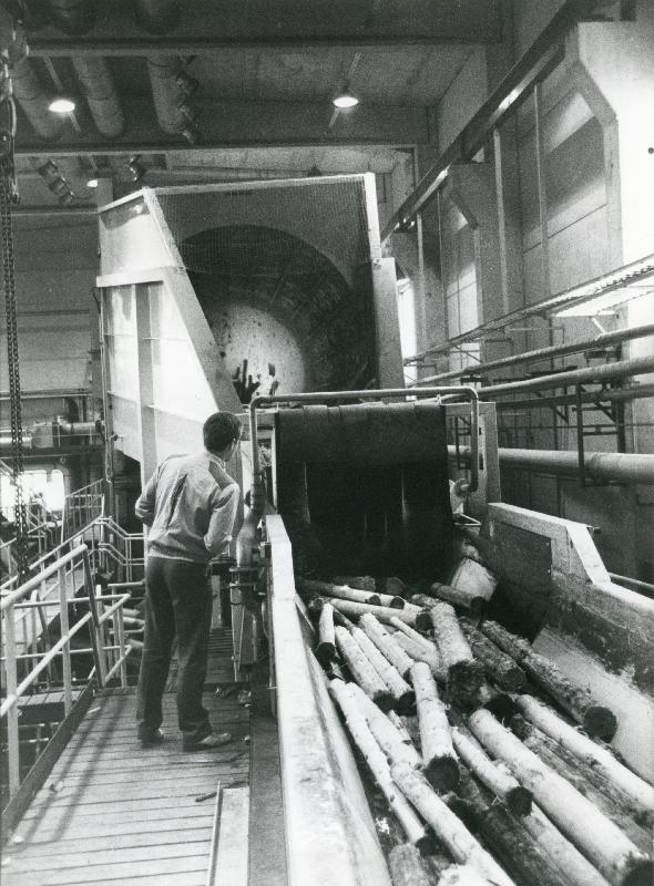 Esikatselukuva: Metsä-Botnian sellutehdas, Äänekoski
	
		Teollisuusviikko -lehti 19/1985