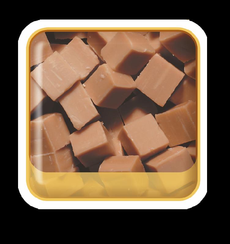 Esikatselukuva: irtokarkit fudge.tif