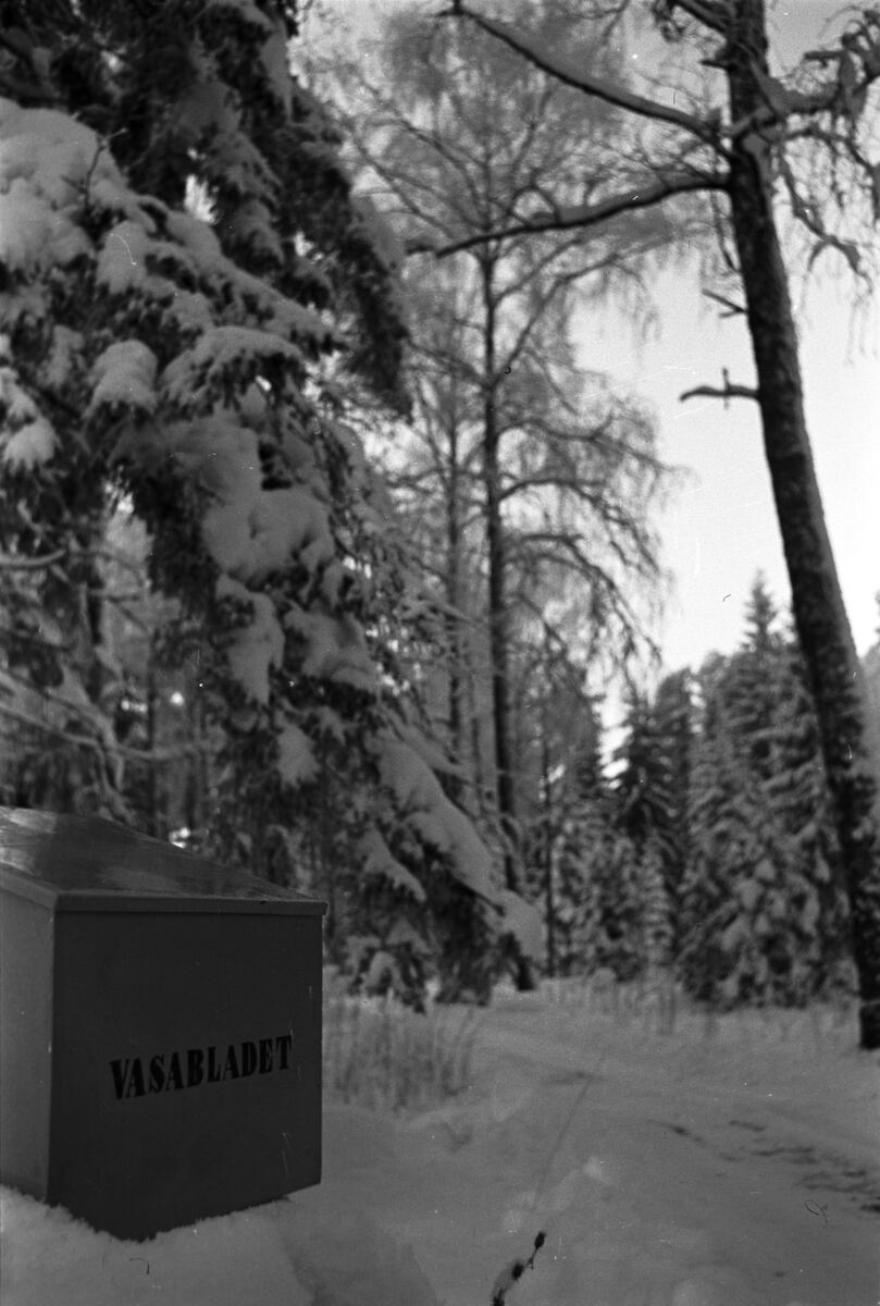 Esikatselukuva: Vasabladets tidningslåda.