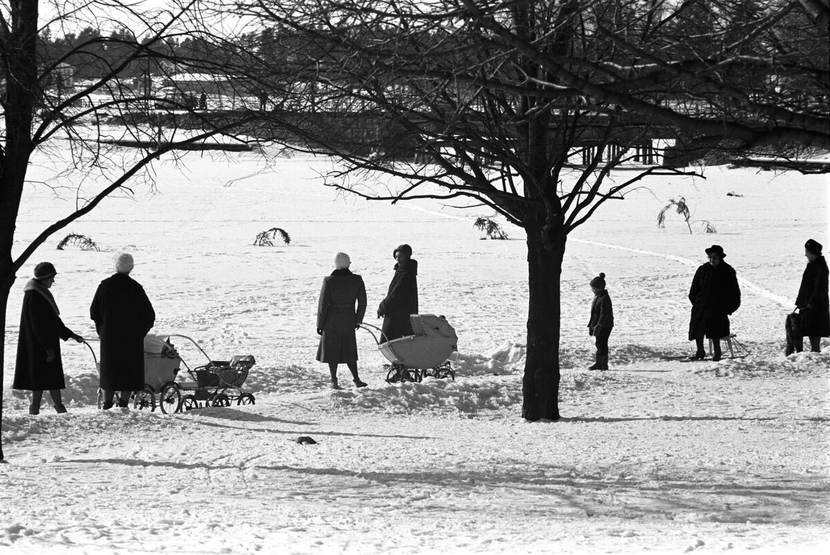 ???resource.thumbnail???: Vintervy över Hovrättsparken och gamla Vasklotbron.
	
		Vintervy över Hovrättsparken och gamla Vasklotbron. Strandpromenaden vid Hovrättsbassängen i Vasa...