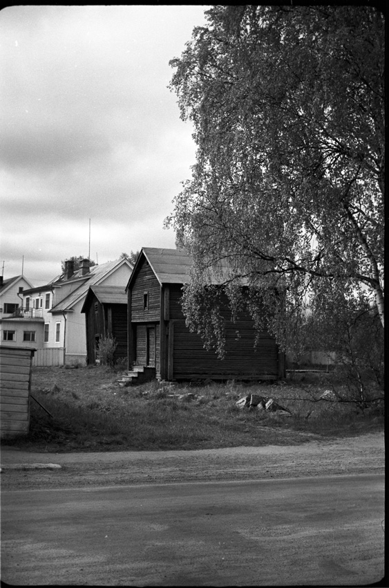 Thumbnail: Härbre.