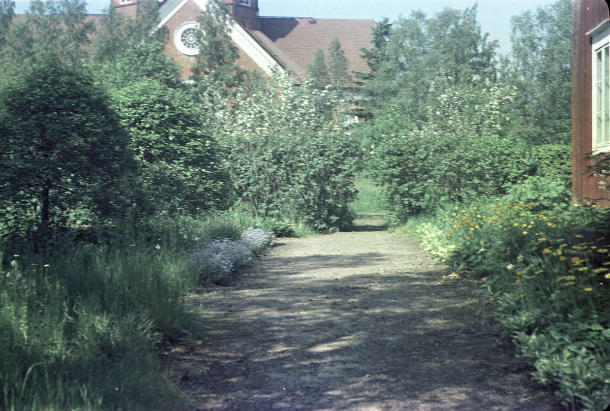 ???resource.thumbnail???: Trädgårdsgången framför lärarbostaden vid södra skolan, ...
	
		Trädgårdsgången framför lärarbostaden vid södra skolan, i bakgrunden Lappfjärds kyrka.