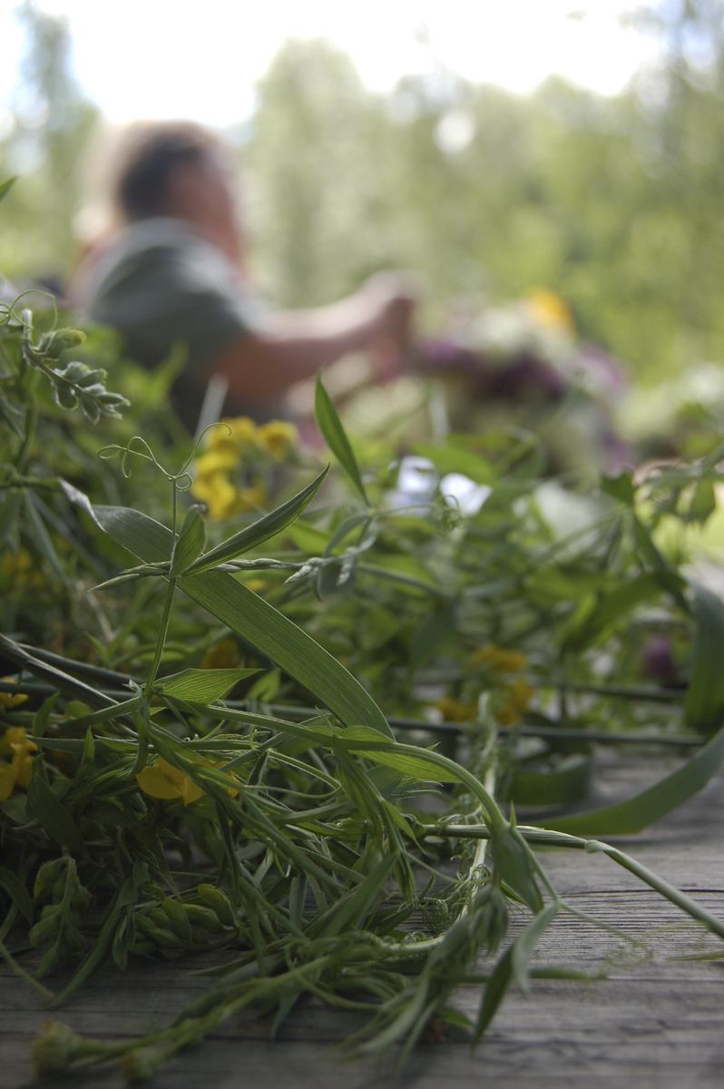 ???resource.thumbnail???: Midsommarfirande med resande av midsommarstång vid ...
	
		Midsommarfirande med resande av midsommarstång vid Kimo Bruk.