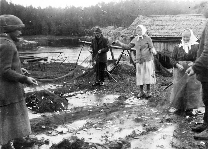 Thumbnail: Telna och rivna stycken av strömmingsskötar ...
	
		Telna och rivna stycken av strömmingsskötar efter höststorm.