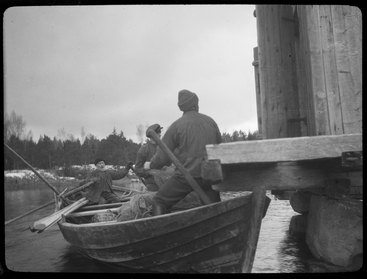 Esikatselukuva: Noten tages i båten från nothuset ...
	
		Noten tages i båten från nothuset vid Söderby fiskestrand.