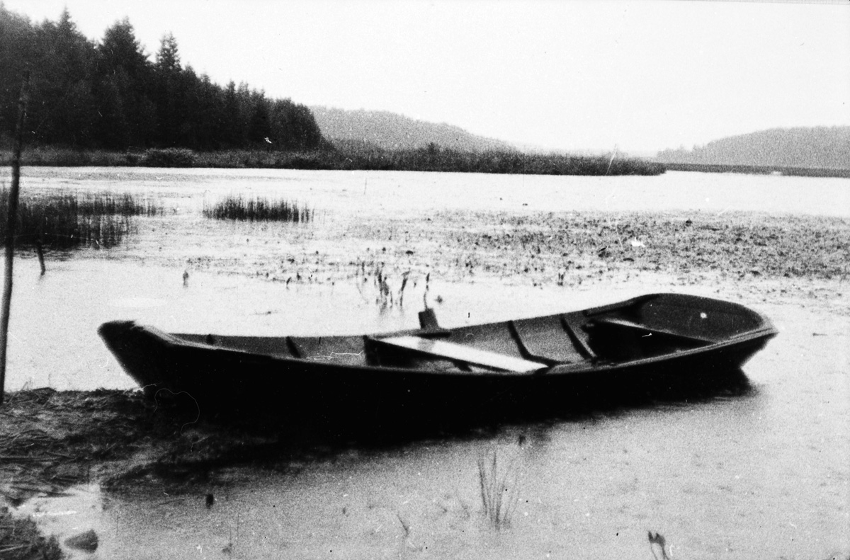 ???resource.thumbnail???: Ökstock.