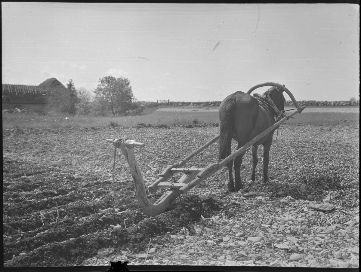 ???resource.thumbnail???: Årder, med vilket man plöjer och ...
	
		Årder, med vilket man plöjer och sätter potatis.