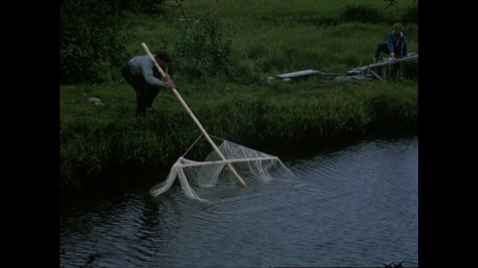 Thumbnail: Fiske med håvar i Malax
	
		Film om fiske med håvar i Malax.