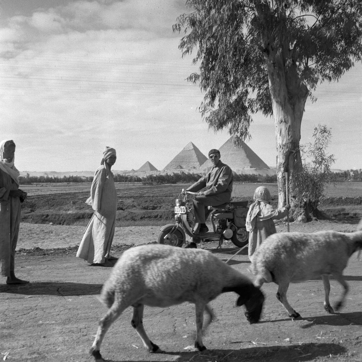 Thumbnail: Göran Schildt på Lambretta-skotern, herdar och får.
	
		Göran Schildt på Lambretta-skotern, herdar och får. Pyramiderna i Giza i bakgrunden.