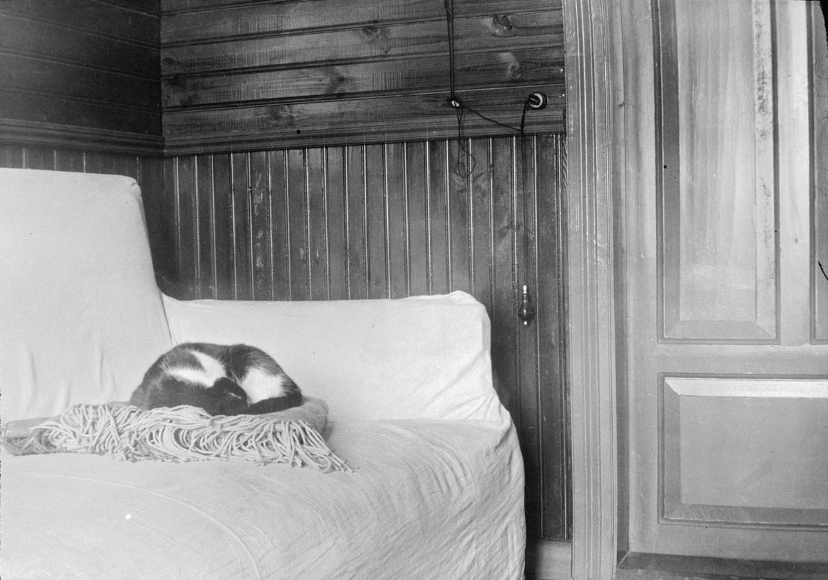 Esikatselukuva: Katt på soffa i Raivola.
	
		Katt på soffa i Raivola. Ringklocka på väggen.